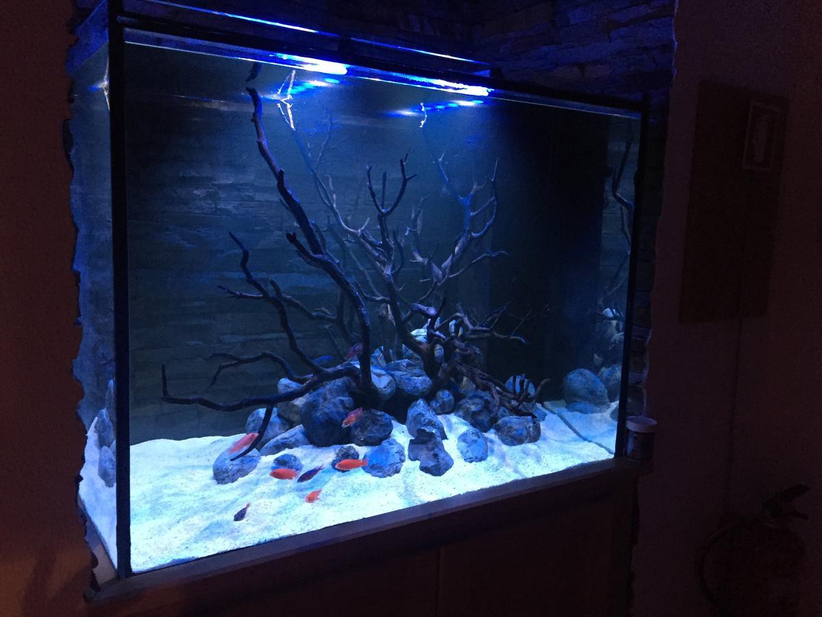 Апартаменти Aquarium House Сезімбра Екстер'єр фото